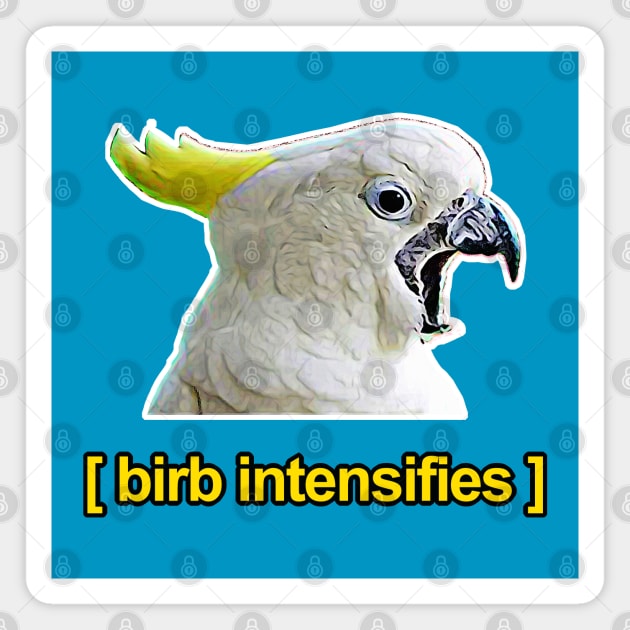 Birb Intensifies - Meme Humor Design Magnet by DankFutura